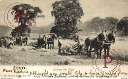 AGRICULTURE - ROYAUME UNI - ENGLAND - SUSSEX - Cutting The Corn - Attelages