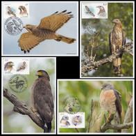 Taiwan 2022 Conservation Of Birds Maximum Card Maxicard Fauna Bird - Neufs