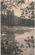 CPA Carte Postale  Belgique-Bruxelles Auderghem- Forêt De Soignes Les étangs      VM50679 - Forêts, Parcs, Jardins
