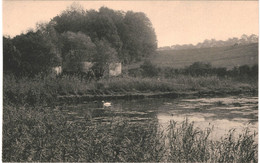 CPA Carte Postale  Belgique-Bruxelles  Forêt De Soignes Auderghem-derrière Le Rouge Cloître VM50687 - Bossen, Parken, Tuinen