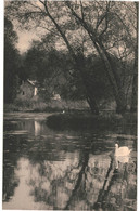 CPA Carte Postale  Belgique-Bruxelles  Forêt De Soignes -Rouge Cloître L'ilot  VM50690 - Forêts, Parcs, Jardins