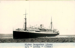 M/S ACCRA * Carte Photo * Bateau Commerce Paquebot Cargo * Compagnie Société Maritime Elder Dempster Lines - Commerce