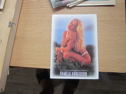 Pamela Anderson Pin Ups - Pin-Ups