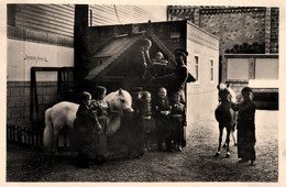 Nanisme Phénomène Cirque * Royaume De Lilliput Expo Internationale Paris 1937 * Nains Nain Circus - Circo