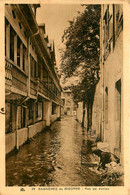 Bagnères En Bigorre * La Rue De Venis * Lavoir Laveuse - Bagneres De Bigorre