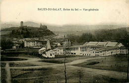 Salies Du Salat * Reine Du Sel * Vue Générale Du Village - Salies-du-Salat