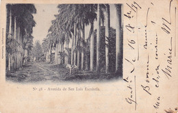 1122/ Avenida De San Luis Escuintla, 1900 - Guatemala