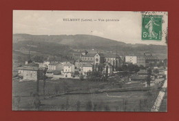 BELMONT - Vue Générale    (F1395) - Belmont De La Loire