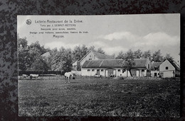 Meise Laiterie-Restaurant De La Drève Meysse - Meise