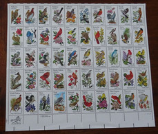 &GUARDAPL AZ&  USA YT 1382/1431, MI 1532/1581 MNH** BIRDS. FOLDED IN THE MIDDLE PERF. SEE PICTURES. - Volledige Vellen