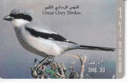 TARJETA DE EMIRATOS ARABES DE UN GREAT GREY SHRIKES (BIRD-PAJARO) - Non Classificati