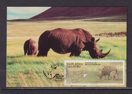 SOUTH AFRICA - 1995 Tourism Pre-Paid Postcard As Scan - Covers & Documents
