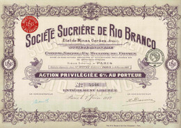 Société Sucrière De Rio Branco, 1912 - Agriculture