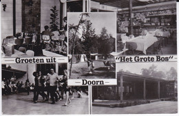 Groeten Uit Doorn, Het Grote Bos (rechterbenedenhoek Geknikt) - Doorn