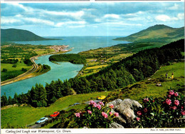 (1 G 25) Ireland - Co Down  - Carlingford Lough - Down