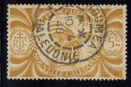 NOUVELLE-CALEDONIE  ( POSTE ) :  Y&T  N°  241  TIMBRE  TRES  BIEN  OBLITERE . A  SAISIR . CRO NOI - Used Stamps