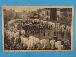 Carnaval De Binche Le Rondeau - Binche