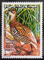 OISEAUX - MAROC                 N° 713                      NEUF** - Perdiz Pardilla & Colín