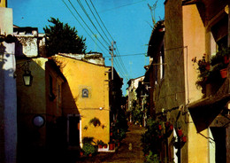 ELVAS - Rua Das Beatas - PORTUGAL - Portalegre