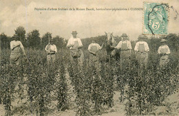 Clisson * Rare Cpa ! * Pépinière D'arbres Fruitiers De La Maison DANBE Danbé * Horticulteur Pépiniériste Culture - Clisson