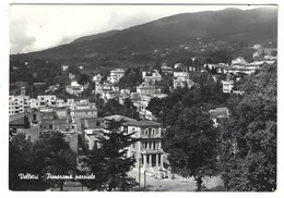 16365 - VELLETRI - PANORAMA PARZIALE - 1964 - Velletri