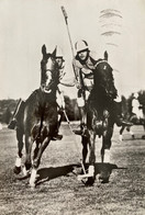 Hippisme - Polo - Sport Chevaux Horses Horse - Hippique - Horse Show