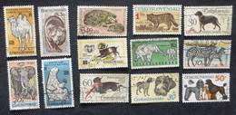 Selection Of Used/Cancelled Stamps From Czechoslovakia Wild & Domestic Animals. No DC-474 - Usati