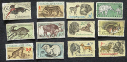 Selection Of Used/Cancelled Stamps From Czechoslovakia Wild & Domestic Animals. No DC-484 - Oblitérés