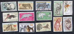 Selection Of Used/Cancelled Stamps From Czechoslovakia Wild & Domestic Animals. No DC-491 - Usados