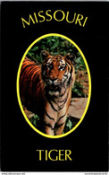 Missouri Columbia The Tiger Athletic Symbol Of The University Of Missouri - Columbia