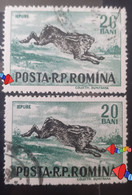 Errors Romania 1956 # Mi 1565  Printed With The Letter Romanian Post Moved And Pet Rabbit - Varietà & Curiosità