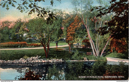 Minnesota Rochester Scene In Public Park 1915 - Rochester