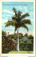 Florida Palm Beach Royal Palm And Hibiscus - Palm Beach