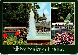 Florida Silver Springs Multi View Glass Bottom Boats And Fountain - Silver Springs
