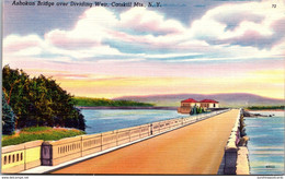 New York Catskills Ashokan Bridge Over Dividin Weir - Catskills