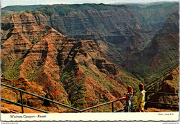 Hawaii Kauai Waimea Canyon - Kauai