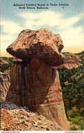 North Dakota Badlands Cedar Canyon Balanced Petrified Stump - Sonstige & Ohne Zuordnung