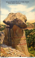 North Dakota Badlands Cedar Canyon Balanced Petrified Stump - Sonstige & Ohne Zuordnung