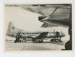 AVIATION - BELGIQUE - BELGIUM - Carte PUB De La Compagnie SABENA BELGIAN AIRLINES - Luggage & Freight Packed In A ... - 1946-....: Era Moderna