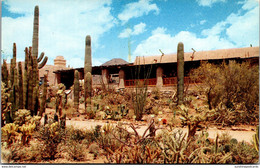 Arizona Tucson Arizona-Sonora Desert Museum Tucson Mountain Park - Tucson