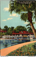 Florida Silver Springs Starting On Glass Bottom Boat Trip Curteich - Silver Springs