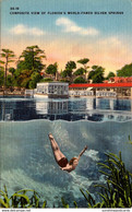 Florida Silver Springs Composite View - Silver Springs