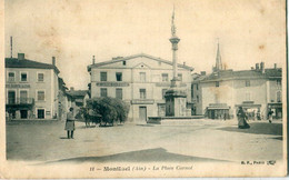 01 - Montluel : La Place Carnot - Montluel