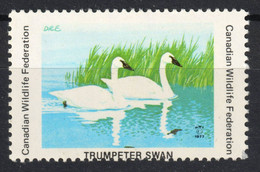 SWAN Trumpeter Bird - Canadian Wildlife Federation 1977 CANADA Charity LABEL CINDERELLA VIGNETTE - Cygnes