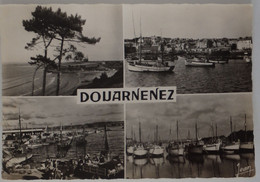 29 Finistère CPSM Douarnenez Multivues  1956 - Douarnenez