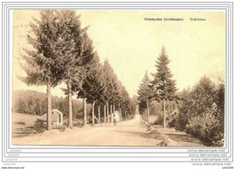 NOIRBRAS ..-- CHAMPLON ..-- TENNEVILLE ..-- 1923 Vers MONTIGNIES S / SAMBRE ( Mr Mme Oscar MONSEU ) . Voir Verso . - Tenneville