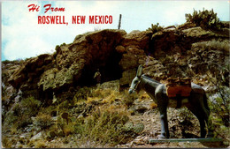 New Mexico Hi From Roswell Showing Cactus Cave Grotto - Roswell