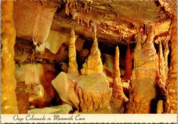 Kentucky Mammoth Cave National Park Onyx Colonnade In Mammoth Cave - Mammoth Cave