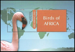 Gambia 2011 MNH MS, Water Birds, Lesser Flamingo, Map, Continents - Flamingos