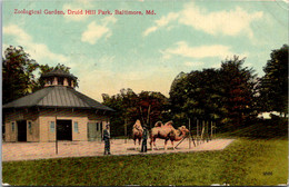 Maryland Baltimore Zoological Garden Druid Hill Park 1911 - Baltimore